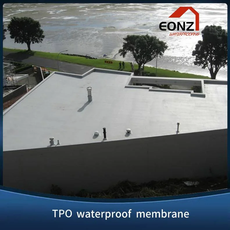 20% off Tpo (Reinforced/Self adhesive) Waterproof Membrane Roofing Material